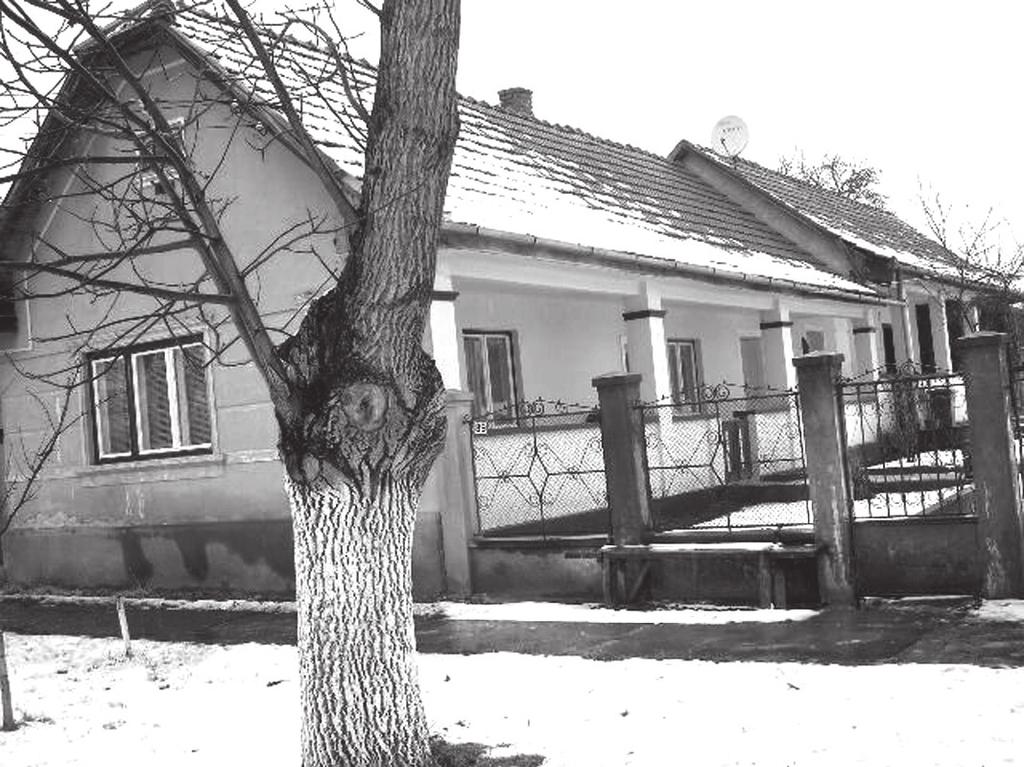 Képmelléklet 25.