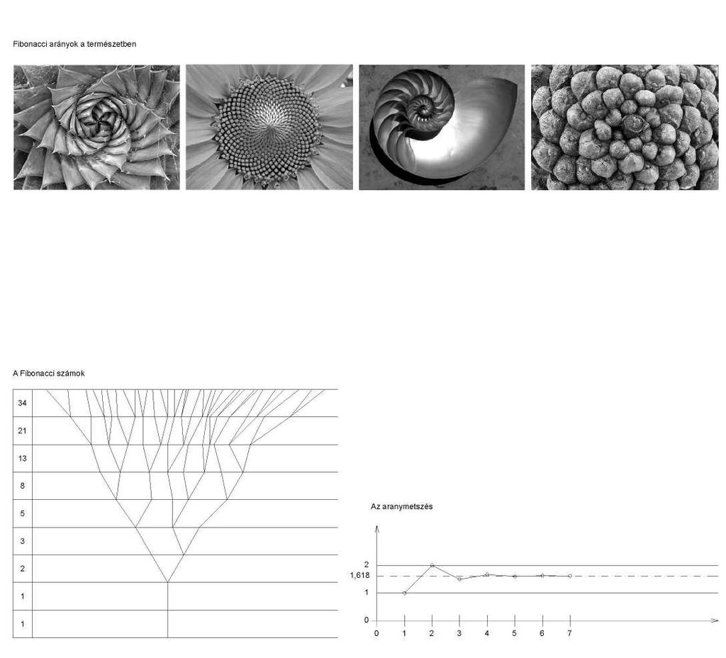 A Fibonacci