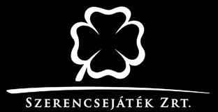 ELEKTRONIKA professzionális SZERvIZ Ózd, Bolyki Tamás