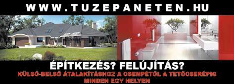 A vállalat felhasználóinak közvetlen támogatása. A vállalatra érvényes IT standardok betartásának, valamint a szervizpartnereknek a kontrolálása. Kapcsolattartása a konszern IT csoportjával.