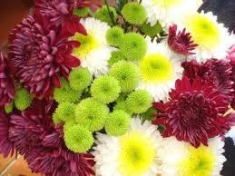 Október November December 1. Japán nemzeti növénye, virágzásakor ünnep keretében mutatják be az új fajtákat.
