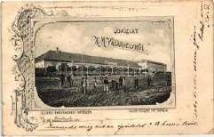 1906 Hippolitpus zta (?