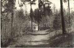Lillafüred T2 1 000 20757.