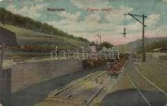 Schwarc 4000 20915.
