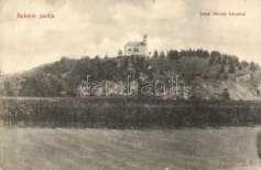 Bél a király szobor, Duna p