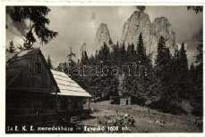 Domány, Doman (Resicabánya,