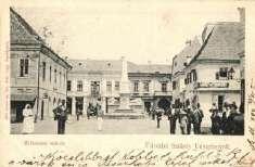 Paltinis; gyó 3200 21428.
