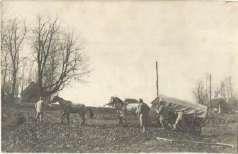 1914 Fenséges k irályunk kiáltványa /