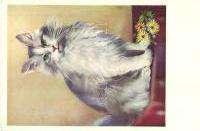 Cats playing ice h ockey.