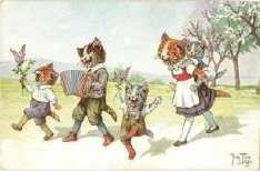 Herrlich, Katzen 5.