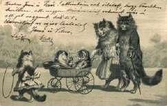 Cat. Name day g reeting