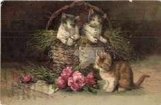 Cat family, baby carriage.