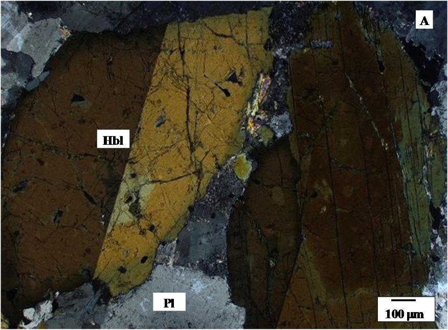 9.3. Amfibol Az amfibol a DAM ultramafikus kumulátumának fő kőzetalkotó ásványa.