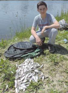 Október 1-jén ugyanis Ljiljana Popov Pálfi Patrik az óbecsei csatornaszakaszon kerül megrendezésre versenysorozatunk zárófordulója.