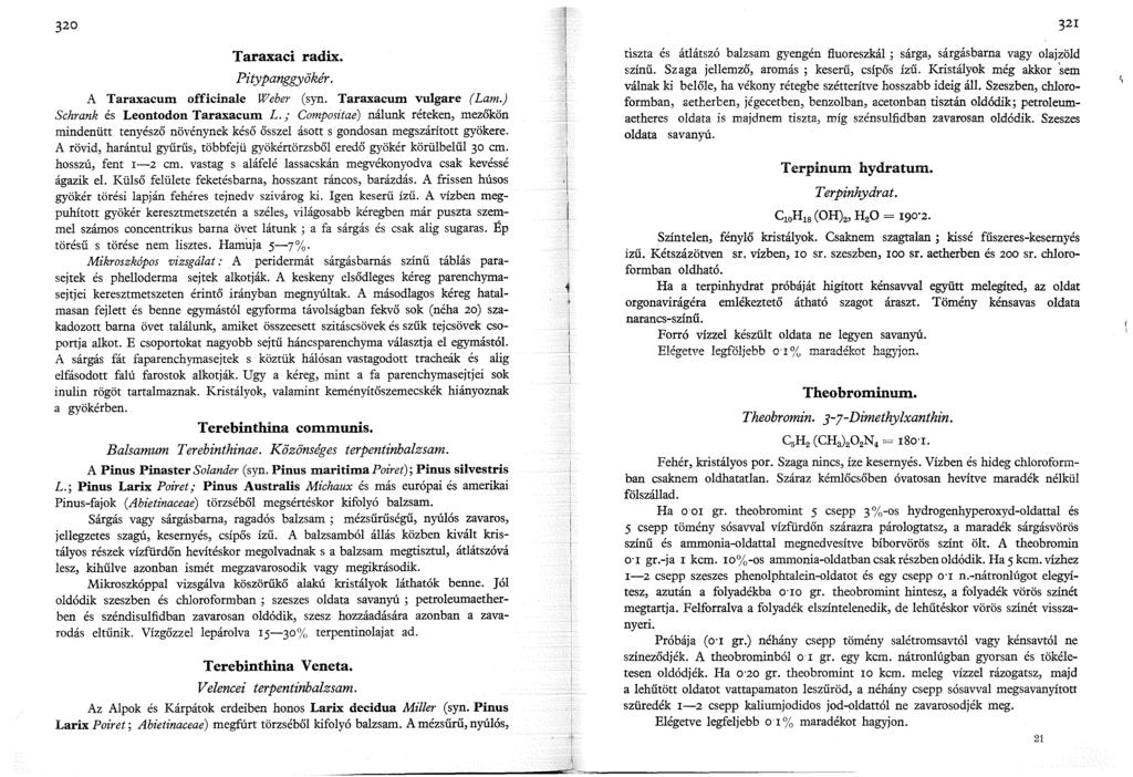 320 32 Taraxaci radix. Pitypanggyökér. A Taraxacum officinale Weber (syn. Taraxacum vulgare (Lam.) Schrank és Leontodon Taraxacum L.
