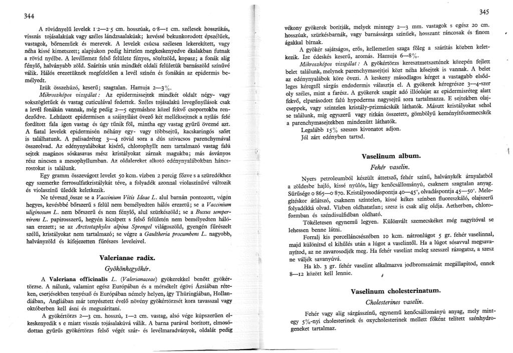 344 A rövidnyelű levelek '2-2 5 cm. hosszúak, 0 8- cm. szélesek hosszúkás, visszás tojásalakúak vagy széles lándzsaalakúak; kevéssé bekunkorodott épszélűek, vastagok, bőrneműek és merevek.