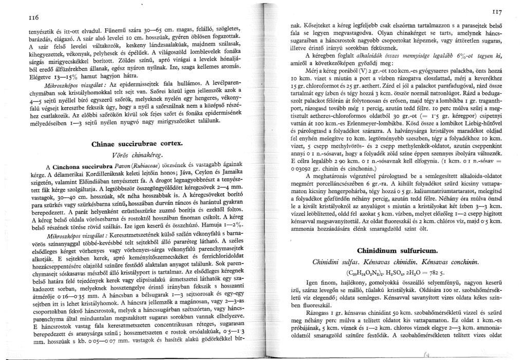 u6 tenyésztik és itt-ott elvadul. Fűnemű szára 30-65 cm. magas, felálló, szögletes, barázdás, elágazó. A szár alsó levelei ro cm. hosszúak, gyéren öblösen fogazottak.