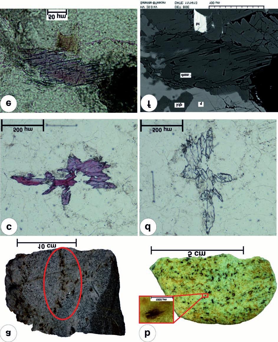 316 SPRÁNITZ T. et al.: Jégszállította dumortierites gneisz, klinohumitos márvány és szkapolitos amfibolit a Duna pleisztocén kavicsanyagában 4. ábra.