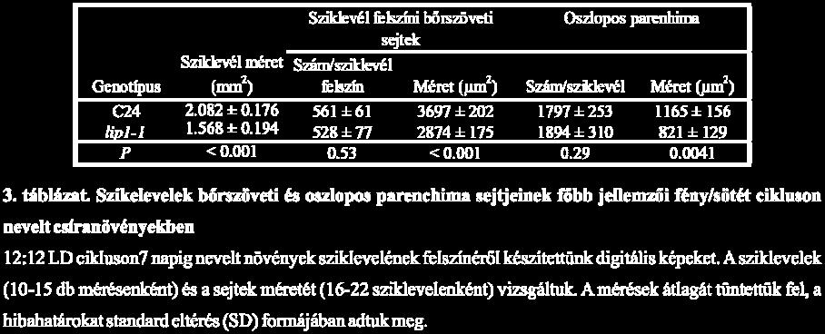 Hogy ellenőrizzük a lip1 mutáció okozta megnövekedett örökítőanyag tartalom szövetspecifikus mivoltát, szik alatti szár és teljes növény tartalmú mintákat is megvizsgáltunk az örökítőanyag
