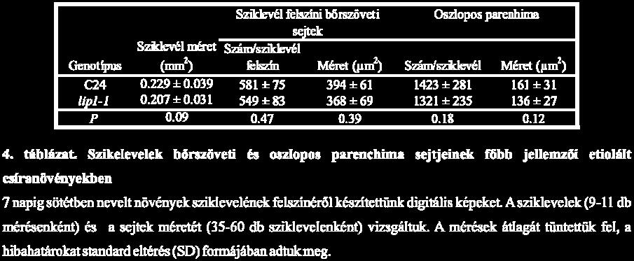 A ploidia szint ezekben a mintákban nagyon hasonlított a sziklevél esetében mért szintre, ami arra utal, hogy a LIP1 által a DNS tartalomban kozott változás nem szövetspecifikus.