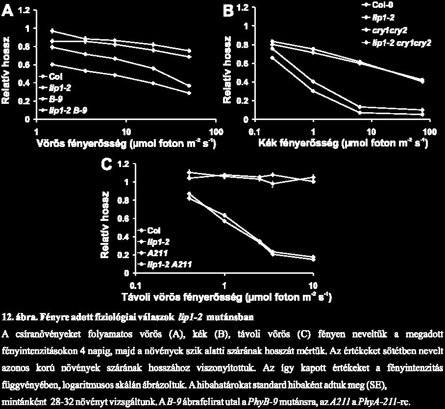 100 mm NaCl-ot vad típusú növények még képesek tolerálni, de a lip1 mutáns csíranövények növekedése és fejlődése ekkor már komoly zavart szenved.