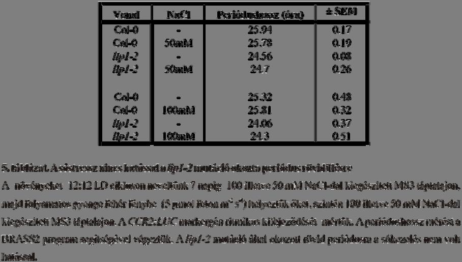 50 mm NaCl-dal kiegészített MS3 táptalajon, majd folyamatos gyenge fehér