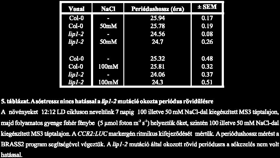 100, illetve 50 mm NaCl-dal kiegészített MS3 táptalajon.
