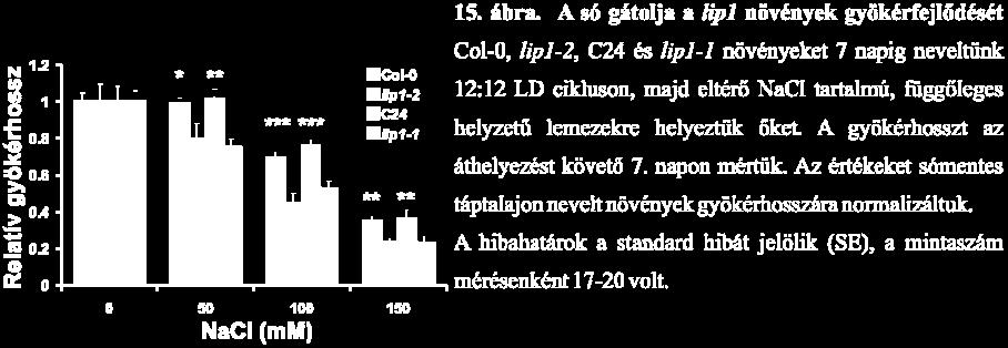 ábra mutatja, hogy a gyökér növekedését a só erőteljesebben gátolja lip1 mutánsban, mint a vad típusban. A magas sókoncentráció ozmotikus és ionikus stresszt is jelent a növények számára.