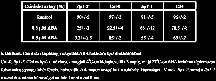 Felmerült a kérdés, hogy a fent említett pleiotróp fenotípusok köthetőek-e sejten belüli elhelyezkedéshez, ezért olyan növényeket állítottunk elő, amelyek a lip1-2 mutáns háttérben YFP LIP1 fúziós