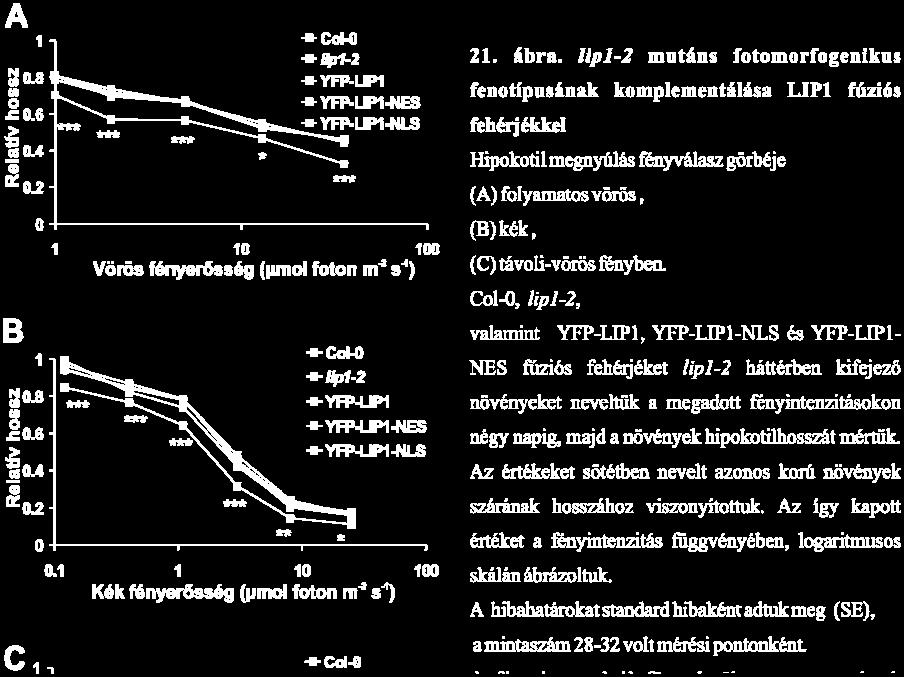 neveltünk 7 napig, majd folyamatos 3 µmol foton m -2 s -1 intenzitású