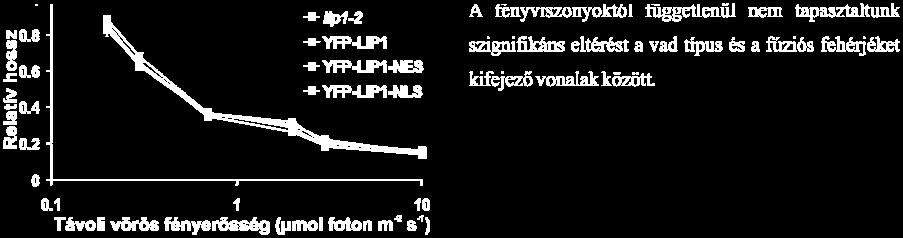 esetében a mutáció okozta rövid periódus nem látható (22. ábra A és B; 7.