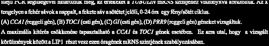 használva (kivéve a toc1-4 esetében, ahol a CAB2:LUC markert használtuk).