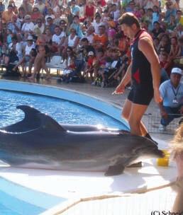 AQUALAND ÉS DELFINSHOW KIRÁNDULÁSOK ILLUSZTRÁCIÓ