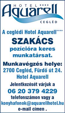 com ÉRTÉKESÍTŐKET keresünk ceglédi és újszilvási építőipari üzletbe műszaki beállítottsággal vásárlók tájékoztatására, kiszolgálására, árajánlat készítésre.