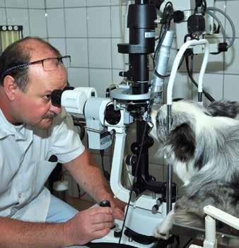 Gimnazista koromban mellészegődhettem és kísérhettem a napi munkáját megfigyelve.