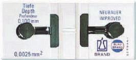 regiszteres lappal a nyilvántartáshoz PS Méretek 50 férőhely: 170 x 83 x 30 mm 100 férőhely: 210 x 166 x 30