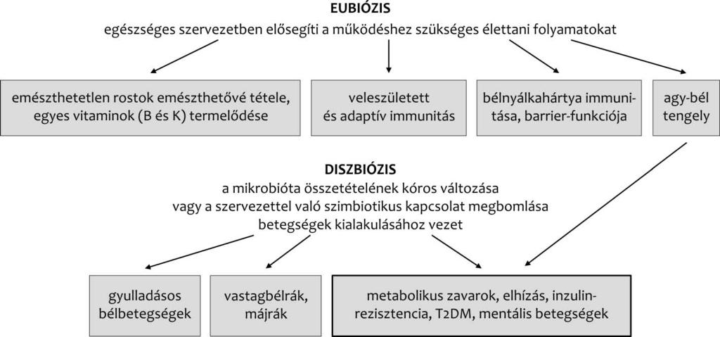 1102 anya gok, különösen gyakoriak a patogén baktériumfajokban. A szervezet számára káros hatású bélbaktériumok indítják meg a lipopoliszacharidok okozta gyulladást, az ún. metabolikus endotoxémiát.
