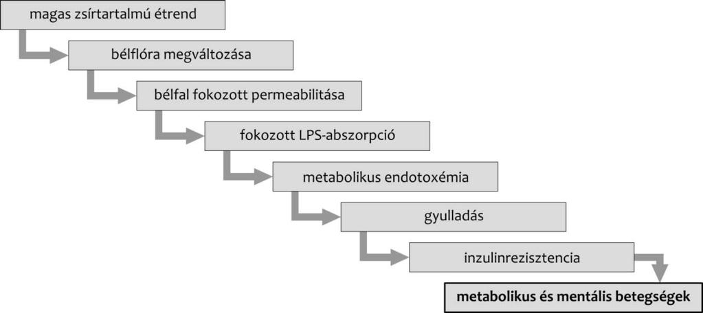 1104 varokat, szorongást, depressziót és kényszeres viselkedést okozhat, az autizmusban is szerepe van.
