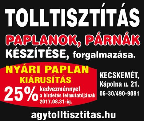 A magyar üzleti felfogással szembe menve a jutalékmentes, egymás kölcsönös segítésén alapuló üzleti modellt használják.