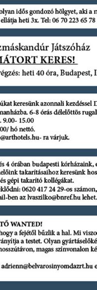 A LIFTJOBS ROVAT ELHELYEZKEDÉSE A rovat a plakátok jobb alsó részében helyezkedik el egy elkülönült, állandó sávban. Minimális mérete: 20 cm (magasság)* 12 cm (szélesség).