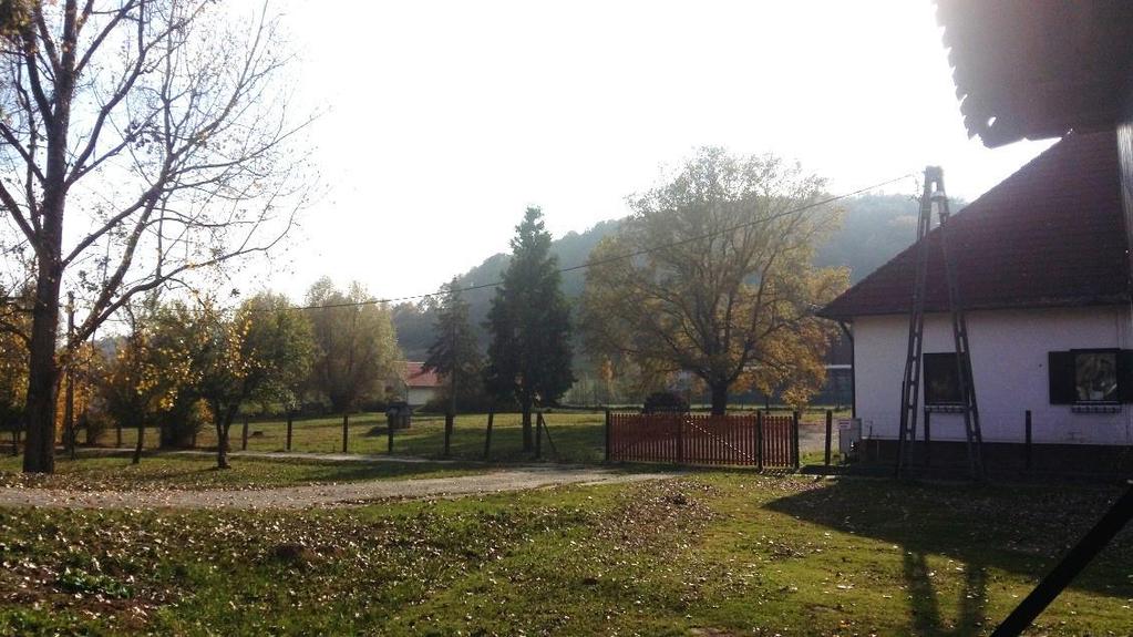 A park nagy összefüggő gyepfelületei felett szabadon elláthatunk a településképet keretező védett erdők felé.