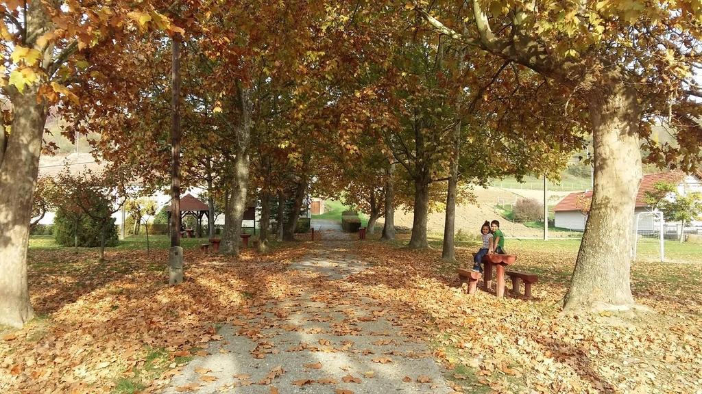 Polgármesteri Hivatal kertje A helyi védelem alatt álló épület a Kossuth Lajos utca elején helyezkedik el.