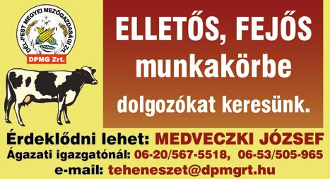 www. dpmsz. hu 11 AKADJ RÁNK!