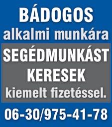 volanbusz.hu/hu/ tarsasagunkrol/allasajanlatok/ hir/33415 honlapon.