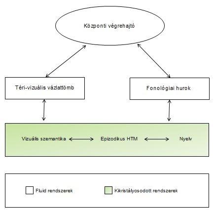 1. ábra A munkamemória modell (Baddeley 2000) A nyelvtől részben vagy teljesen független kognitív rendszerek jelentős hatással vannak a nyelvi folyamatokra.