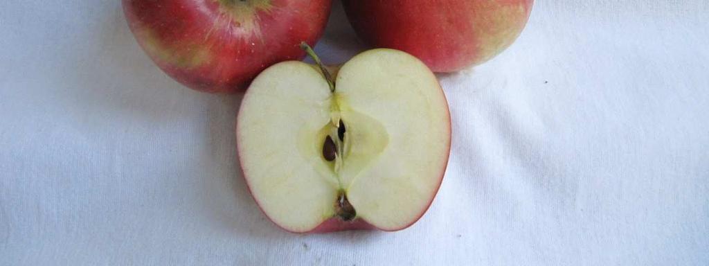 Az édeskés, aromás almákat kedvelő fogyasztóknak friss étkezésre ajánlott.
