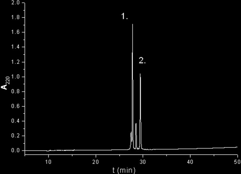 17. ábra: HPLC kromatogram: a 12 jelű ciklopeptid konjugálása oligotuftsin hordozóhoz, 24 óra elteltével A két főcsúcs közül az 1.