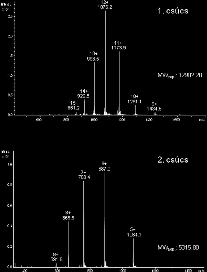 18. ábra: A konjugálási reakció termékelegyének két