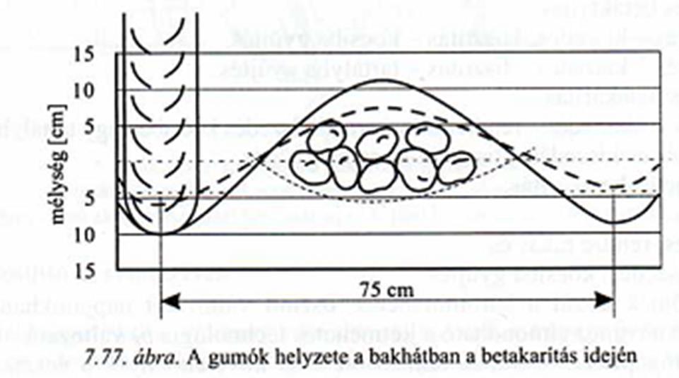A betakarítás minőségi követelményei minél kisebb