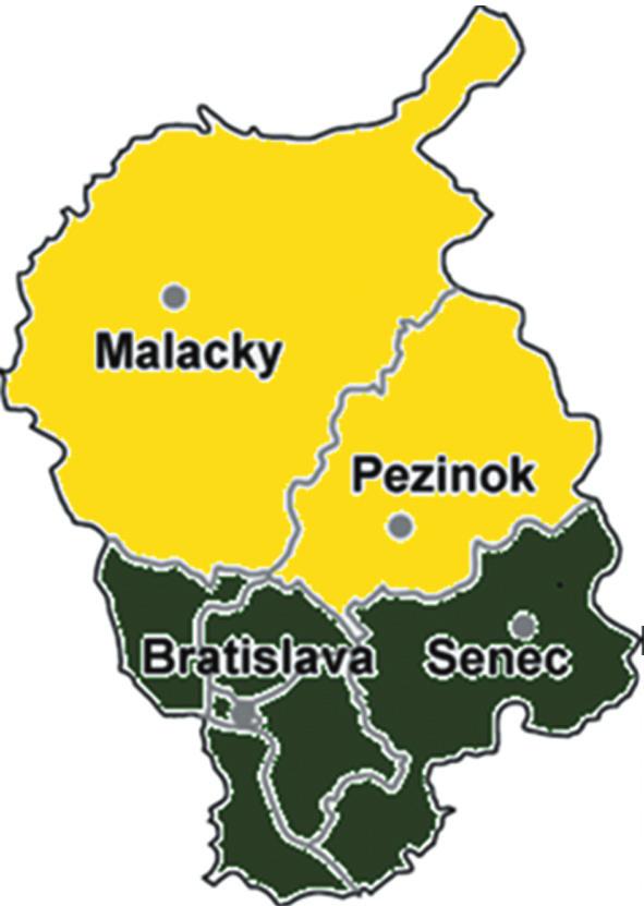 Pozsony megye és a magyarok által lakott járásai Összlakosság 611 000 fő Járások száma 4 A magyarok által lakott járások száma (megj.